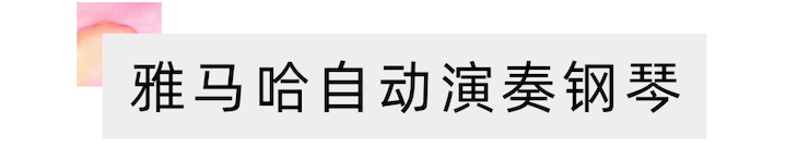 活动报道 | 远程艺术教育大师课活动—万利艺术家吴晓大师课